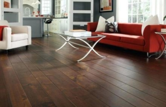Mách bạn cách phòng và xử lý mối mọt cho sàn gỗi giá rẻ