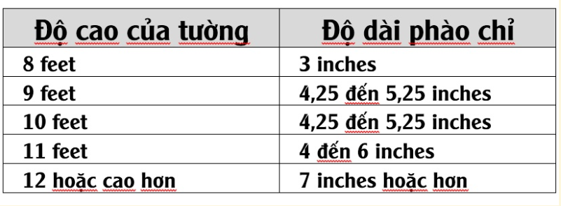 Phào Chỉ Trần