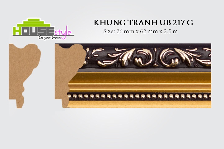 khung gương nhựa sp