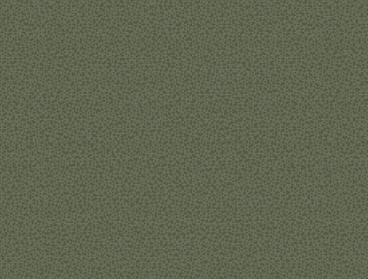 SOHO-56124-5