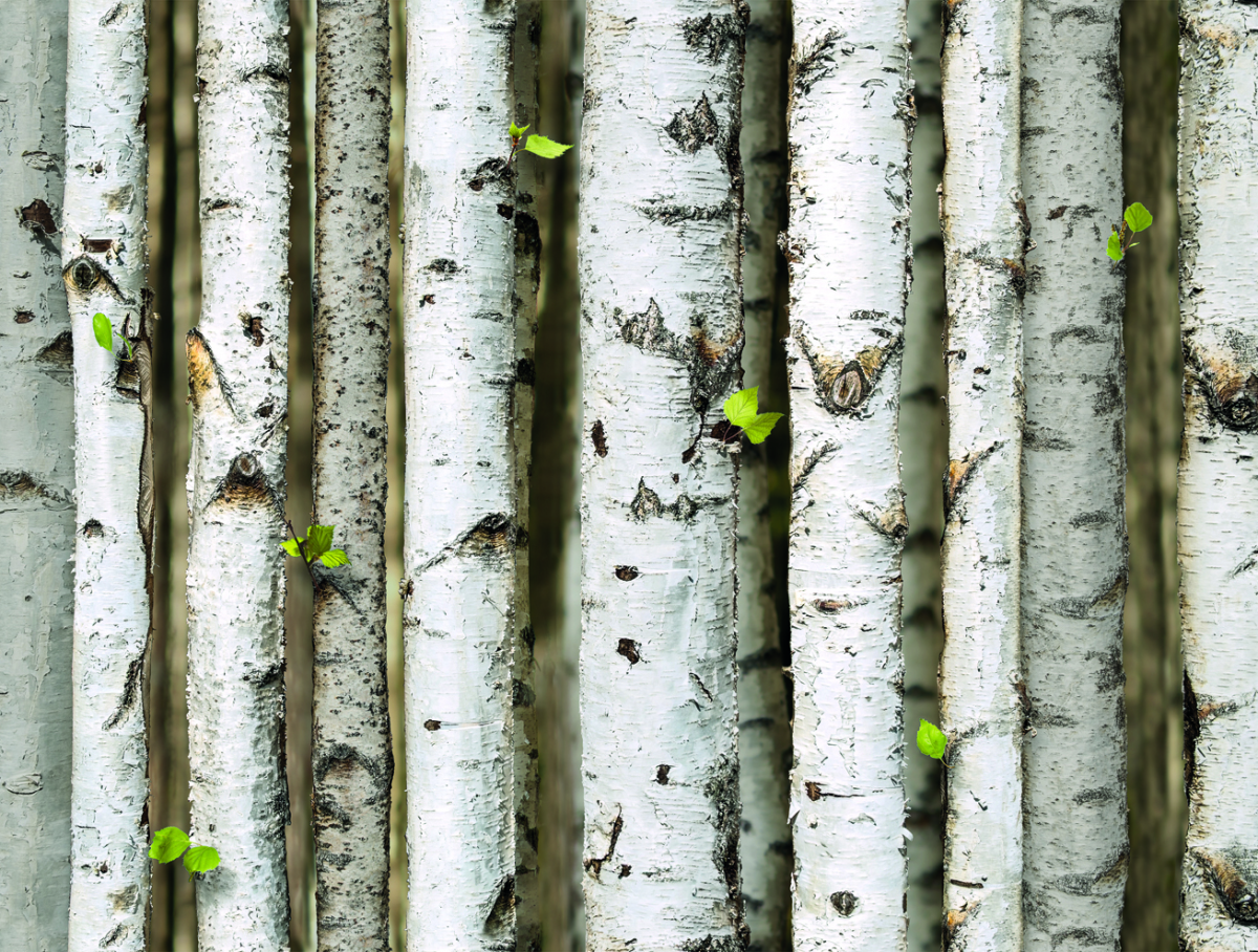 NATURAL-87009-2