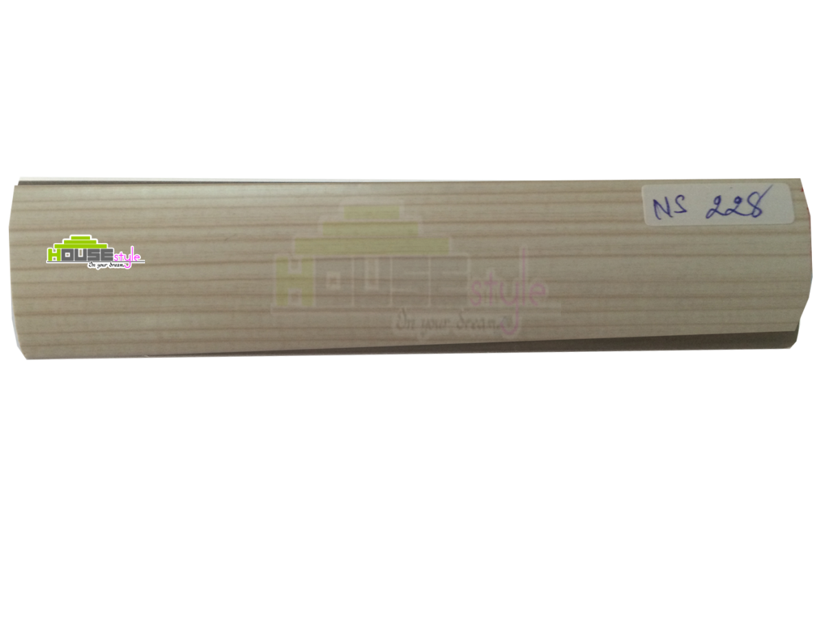 NS228