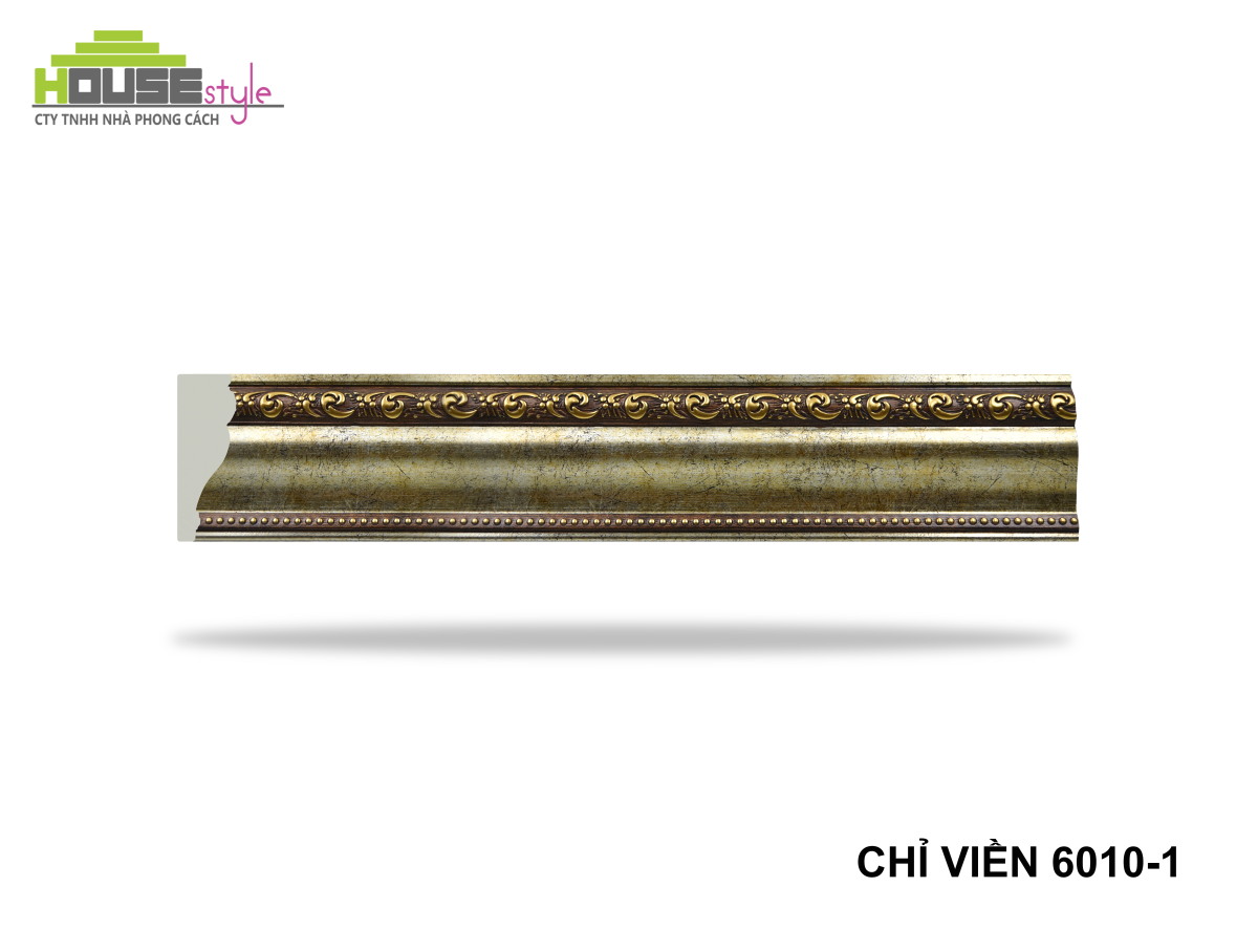 CHỈ LƯNG 6010-1