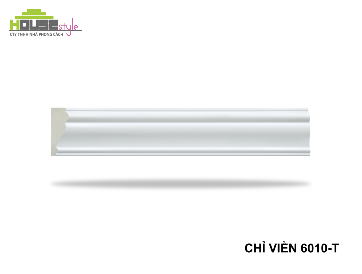 CHỈ LƯNG 6010-T