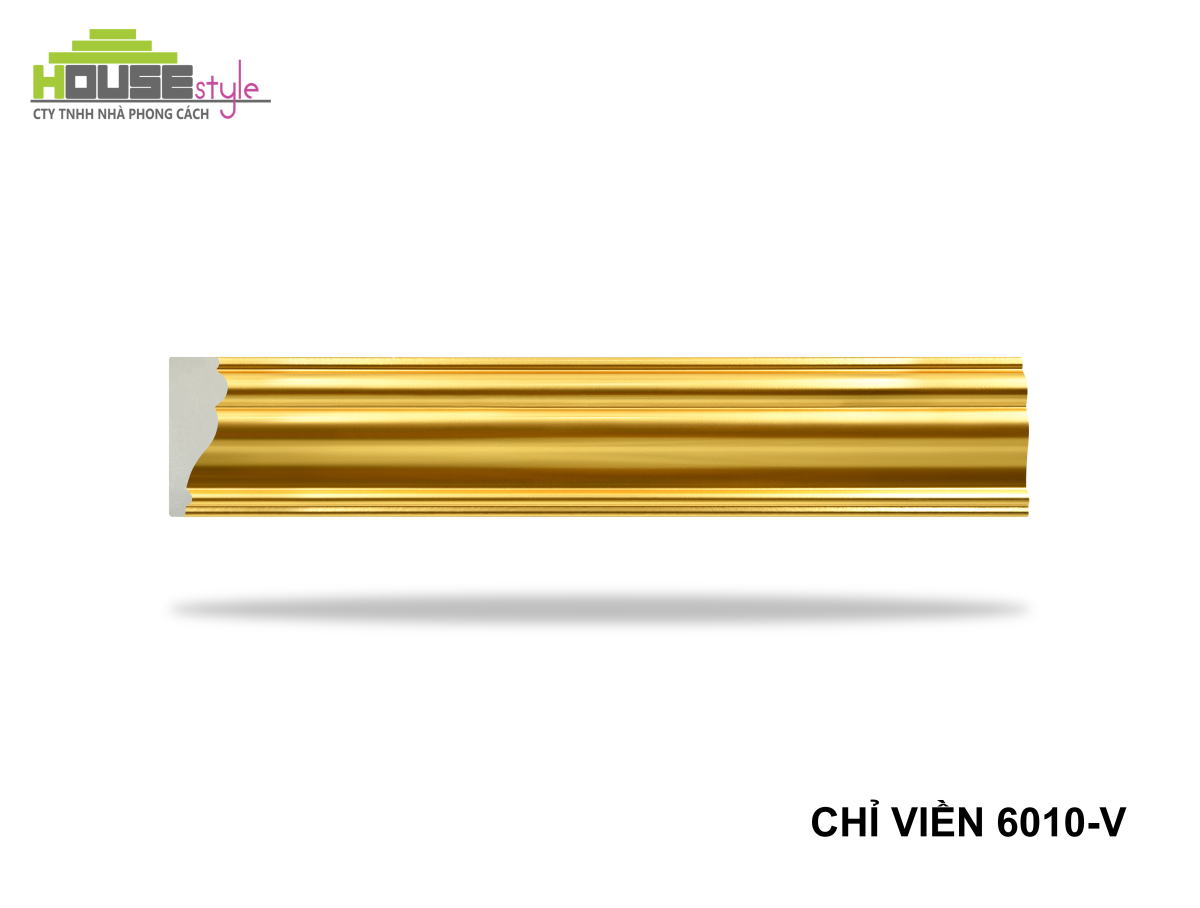 CHỈ LƯNG 6010-V