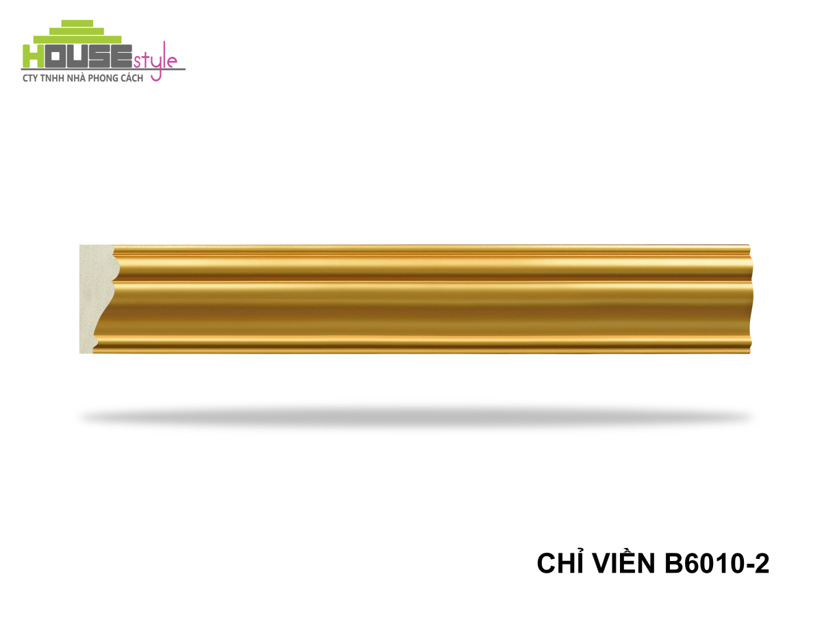 CHỈ LƯNG B6010-2