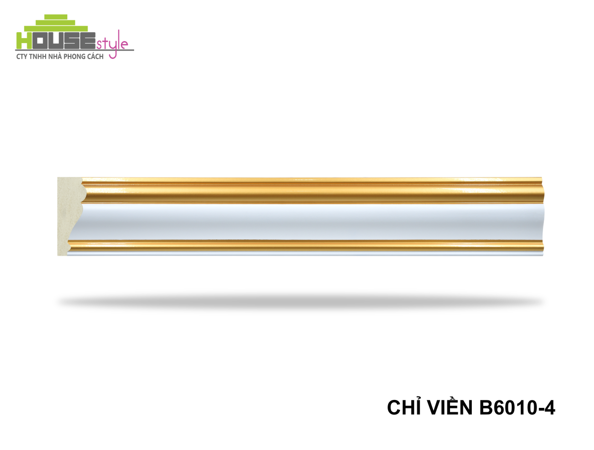 CHỈ VIỀN B6010-4