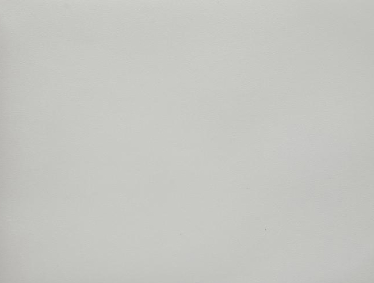 MÀU VÂN GIẤY DÁN TƯỜNG PWG-44
